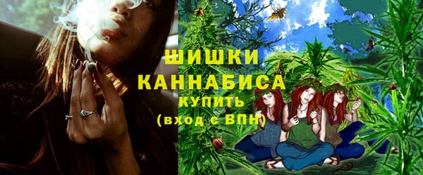 дмт Богородск