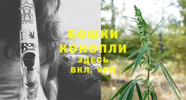 дмт Богородск